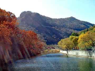 新澳天天开奖资料大全旅游团，天涯